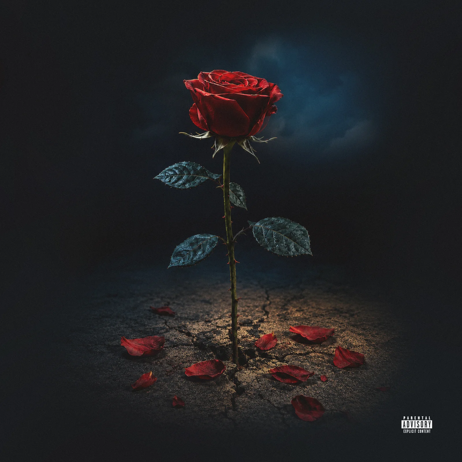 Good To Be Vertical front cover: a red rose standing among fallen petals